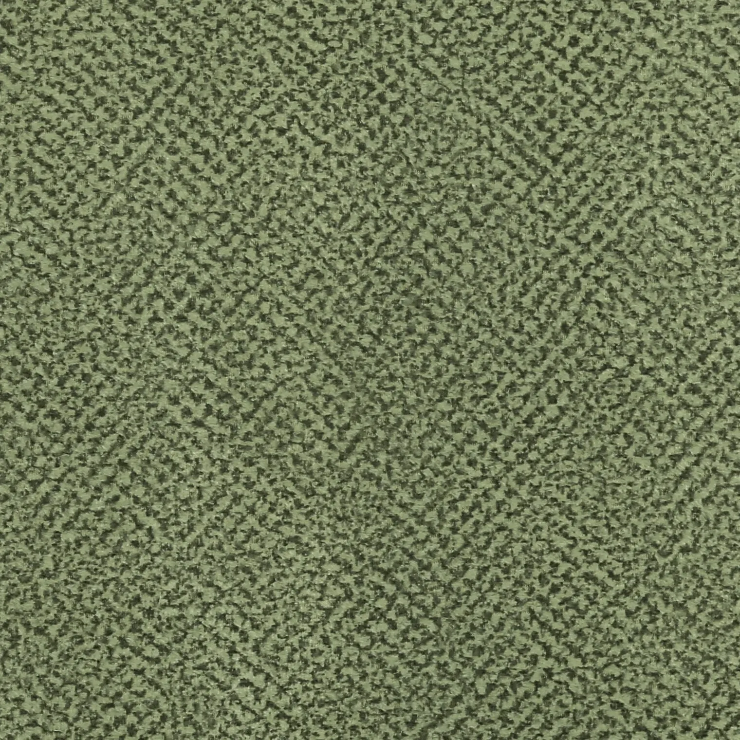 لینا 11