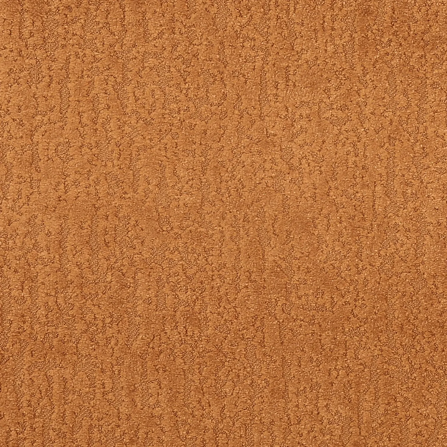 مودنا 31